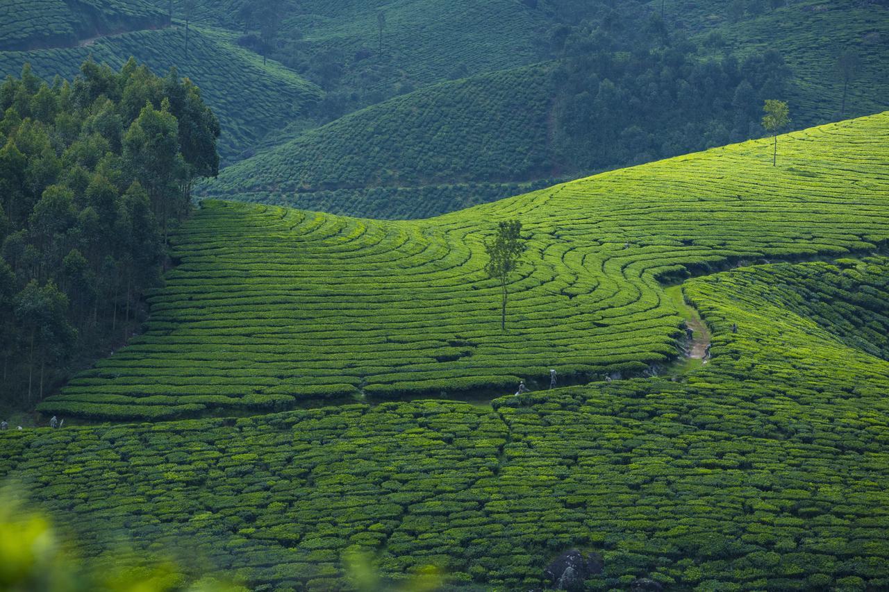 Mount View Munnar Hotel Exterior photo